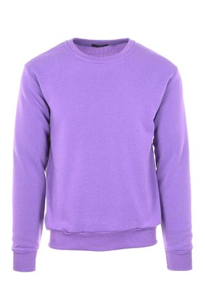 Felpa a girocollo viola realizzata in morbido tessuto, con maniche lunghe, polsini e orlo a costine, caratterizzata da una superficie liscia e uniforme.