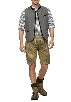 ALONSO - Weste - grey/forest