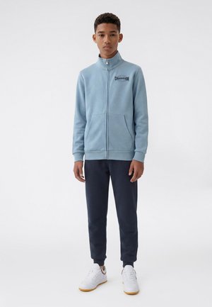 Teenager iført en lyseblå lynlåstrøje med Champion-logo, mørke bukser og hvide sneakers, der står foran en ensfarvet baggrund.