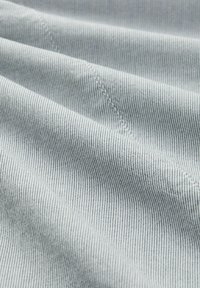 TOM TAILOR Short - blue stripe pants