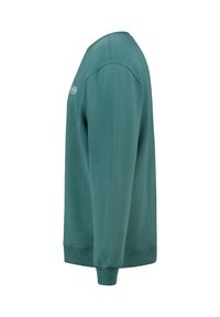 Green sweatshirt made of soft fabric, featuring a crew neckline, long sleeves, and logo on front, with ribbed cuffs and hem.