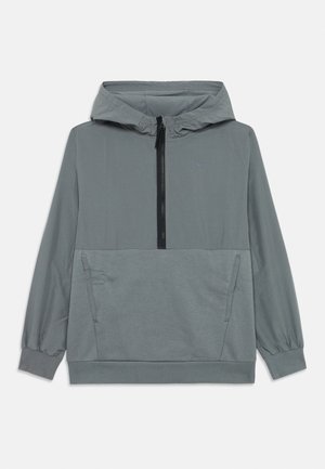 Nike pullover hoodie in light gray with a zip front, adjustable hood, elastic cuffs, and two side pockets for storage.