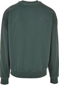 Sweat-shirt en coton vert avec col rond, manches longues, ourlet et poignets côtelés. Le dos est sans couture avec une texture douce.
