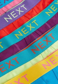 Next A FRONTS 10 PACK - Boxer alsónadrág - bright contrast colour waistband