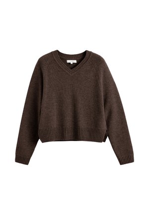 Maglione corto marrone con scollatura a V, polsini e orlo a coste. Realizzato in materiale morbido, presenta maniche a raglan e una texture liscia.