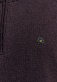 NO EXCESS HALF ZIP  COLOURED MELANGE - Trui - aubergine