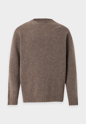 Ung man med glasögon, brun tröja över vit skjorta, mörka vida byxor och ljusa skor står mot en enfärgad vit bakgrund.