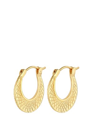 HOOPS USED LOOK - Øreringe - gold-coloured