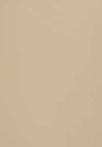 Rivestimento murale beige con una finitura liscia, caratterizzato da sottili variazioni di colore e un design semplice. Nessun motivo o accento visibile.