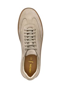 Zapatilla de ante beige con cordones planos, punta redondeada y suela de goma. El interior presenta el logotipo "GEOX" en dorado. Diseño minimalista.