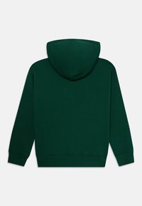 Haut à capuche vert avec cordon de serrage, manches longues et poignets côtelés. Texture de tissu lisse, design simple et sans logos ni accents visibles.