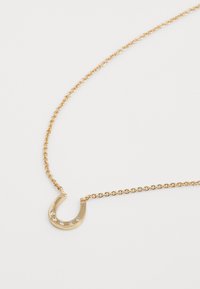 Goldene Halskette mit einem kleinen Hufeisenanhänger, der fünf kleine klare Edelsteine auf einem weißen Hintergrund zeigt.