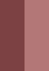 radiant rose / brazen