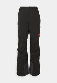 SWITCH CARGO INSULATED - Skihose - black