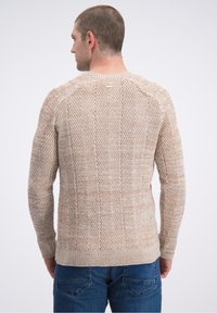 Beiger Strickpullover mit Fischgrätmuster, strukturiertem Design, geripptem Saum und Bündchen, kombiniert mit blauen Jeans. Rückansicht gezeigt.