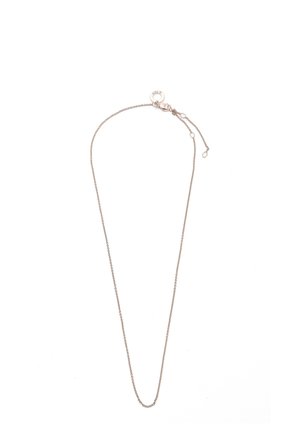 Collier chaîne fine en argent avec de petits maillons ovales et une plaque ronde sur le fermoir, fond blanc.