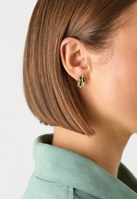 Elisabetta Franchi WOMEN EARRINGS - Σκουλαρίκια - gold-coloured