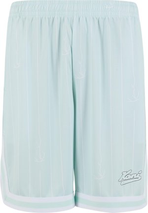 Lichtblauwe sportshorts van ademend gaas, met verticale witte strepen, zijzakken en een witte tailleband met logo-detail.