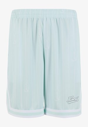 Jasnoniebieskie spodenki sportowe z przewiewnej siateczki, z pionowymi białymi paskami, bocznymi kieszeniami oraz białym pasem w talii z detalem logo.