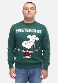 Maglione verde lavorato a maglia con la scritta "MASTER CHEF" e un personaggio dei cartoni animati che tiene utensili da cucina. Dettagli con polsini e orlo a costine.