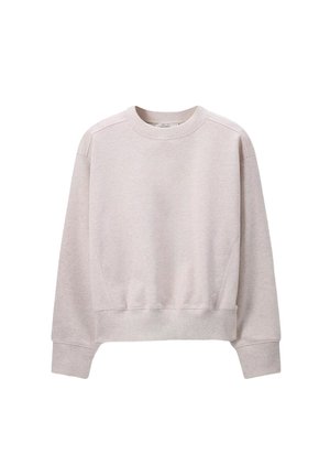 Light gray cropped sweatshirt made of soft, textured fabric. Features a round neckline, ribbed cuffs, and a relaxed design with dropped shoulders.