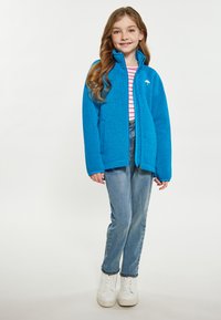 Giacca in pile blu con colletto alto, cerniera frontale e due tasche laterali. Indossata sopra una maglietta a righe, abbinata a jeans azzurri e sneakers bianche.