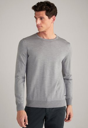 Mann trägt einen hellgrauen Langarm-Pullover und dunkle Hose, blickt nach links vor einem schlichten hellen Hintergrund.