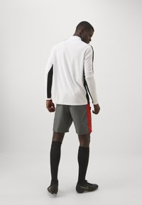 Nike Performance SHORT - Sportske kratke hlače - iron grey/dragon red/pure platinum
