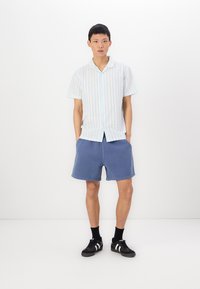 Camicetta a maniche corte con bottoni di colore bianco a righe verticali blu, abbinata a pantaloni corti blu e sneaker nere. Design semplice, vestibilità rilassata.