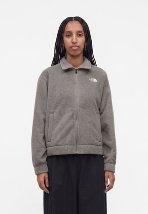 Persona con cabello largo trenzado que lleva una chaqueta de forro polar gris con cremallera y logo de The North Face y pantalones negros, mirando hacia adelante.