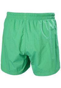 Zelené plavky vyrobené z lehkého materiálu. Mají elastický pas a jednoduchý design bez kapes nebo dalších akcentů.