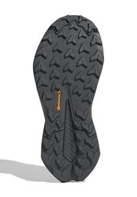 Adidas Terrex TRAILMAKER 2 GORE-TEX NATGEO - Joggesko - orbit grey beige grey five