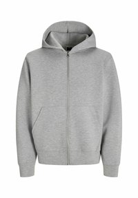LOCKER GESCHNITTEN - Mikina so zipsom - light grey melange