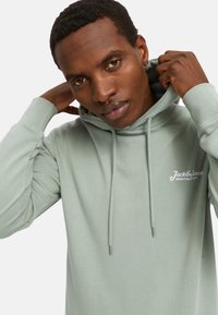 Sudadera verde claro hecha de un tejido suave, con capucha ajustable y un logo en el pecho; diseño ceñido con puños de canalé.