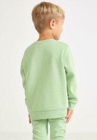 Grüner Baumwollpullover mit Rundhalskragen und gerippten Bündchen, kombiniert mit passenden grünen Hosen, von hinten dargestellt. Glatte Textur.