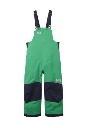 RIDER UNISEX - Pantalones de esquí - bright green