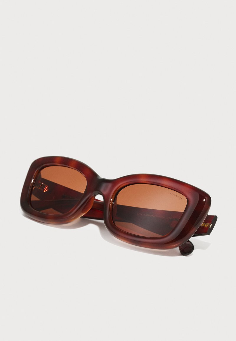 Coach Caramel Tortoise Round Sunglasses with Brown Lenses Signature Round Sunglasses | Eyewear | Coach | COACH® main image 4
