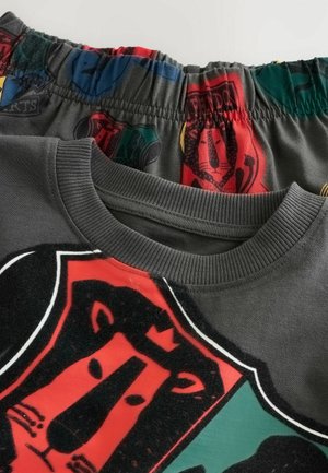 Harmaa huppari, jossa on punainen ja musta leijona-kuvio, sekä moniväriset pyjamasortsit, joissa on elastinen vyötärö ja erilaisia kuvioita.