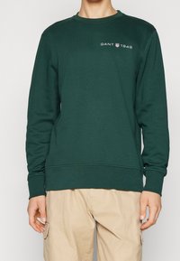 Grön bomullströja med rundad halsringning, långa ärmar och GANT 1949-logotyp på bröstet. Ribbad mudd och nederkant.