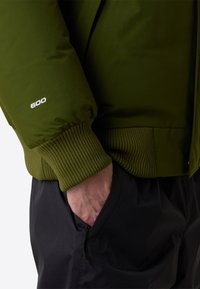 The North Face M MCMURDO BOMBER - Zimní bunda - woodland green