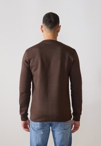 Brown sweatshirt made of soft fabric with long sleeves, round neckline, and a simple design. Paired with blue jeans, viewed from the back.