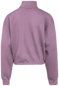 Fila APPAREL TULFES HALF-ZIP - Sudadera - valerian