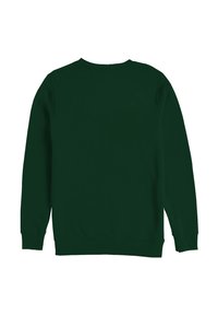 Felpa in pile verde scuro con collo girocollo, polsini e orlo a coste. Tessuto liscio, senza motivi o decorazioni visibili.