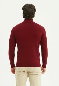 Pull en tricot rouge avec un col haut, un design ajusté et des manches longues. Texture sans couture et poignets côtelés. Porté avec un pantalon beige.