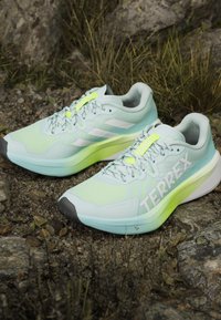 Paire de chaussures de course Adidas Terrex bleu clair et vert néon sur un sol rocheux avec de l'herbe et des feuilles autour.