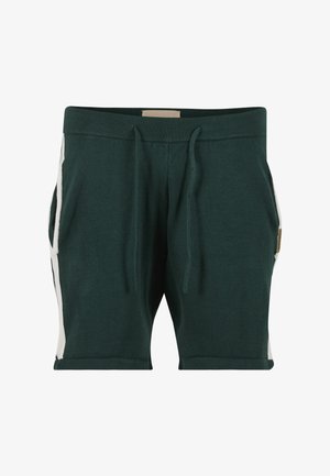 Pas de Monaco, AETHER SHORTS - Pantalones deportivos - pedosa green