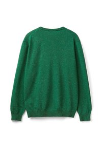 Zelený svetr s dlouhým rukávem a kulatým výstřihem s žebrovanými manžetami a lemem, vystavený plochý a ukazující zadní stranu.