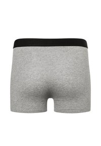 Szare bawełniane bokserki z czarnym elastycznym paskiem w talii, gładka tekstura i krótki krój nogawek. Prosty design bez wzorów czy akcentów.