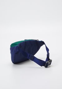 The North Face JESTER LUMBAR UNISEX - Diržinis krepšelis - hunter green/eagle blue