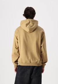 Bareen BOJAN OVERSIZE HOODIE - Sportska majica - antique bronze